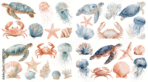 A soft watercolor illustration of sea creatures including turtles, crabs, jellyfish, starfish, seashells, and coral arranged in a marine themed collection.