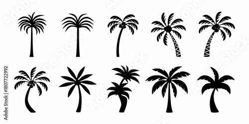Collection of black palm tree silhouettes on white background