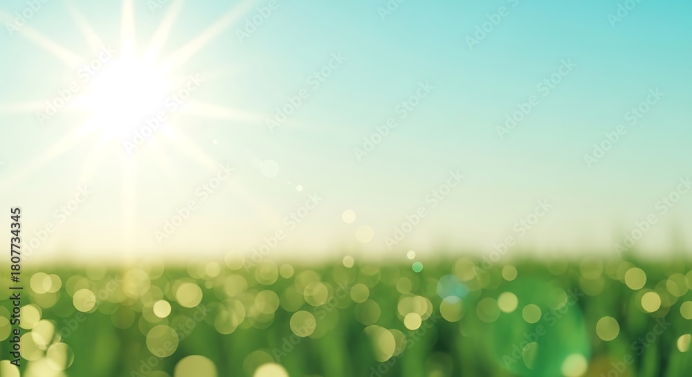 Fototapeta premium Blurred green field with bright sun and blue sky