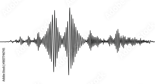A black and white representation of an audio waveform, showcasing amplitude fluctuations over time.