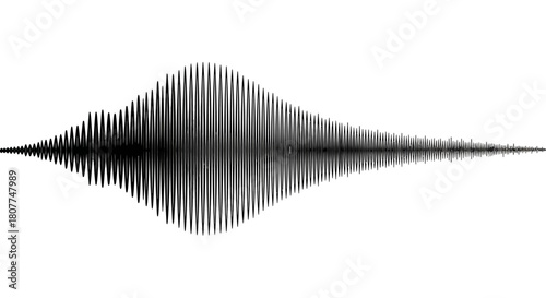 A detailed waveform visualization representing sound or data, with a central peak and symmetrical decay on both sides.