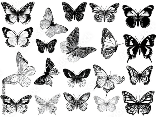 Collection of various black and white butterfly illustrations.