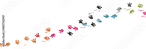 A vibrant trail of colorful animal paw prints.