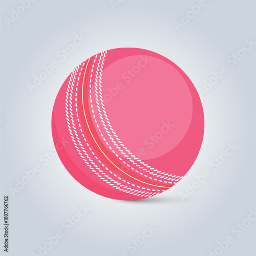 Pink Cricket Ball with White Stitching