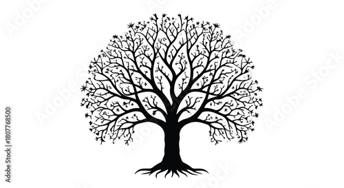 Intricate black silhouette of a bare tree with spreading branches and visible roots against a white background.