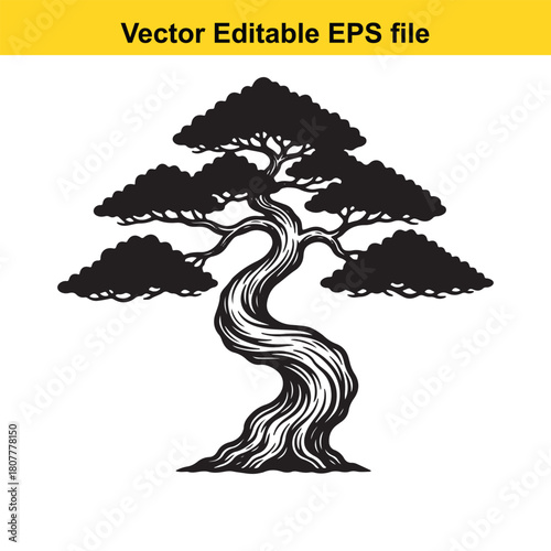 A serene bonsai tree, its silhouette a testament to patience and artistry, stands gracefully against a, a symbol of harmony isolated on