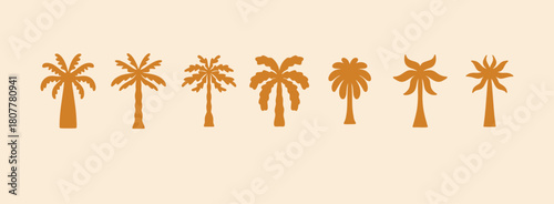 logo summer palm template set, tropical hand drawn illustrations palms, tropical concept, collection palm trees boho elements.
