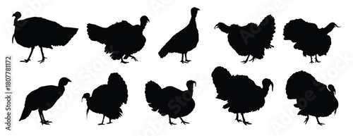 turkey silhouette set. turkey isolated farm animal silhouette icon vector collection