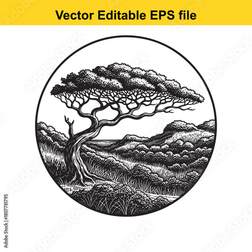 A serene black and white vector illustration of a solitary tree standing amidst rolling hills, capturing the essence of natures beauty and peaceful solitude