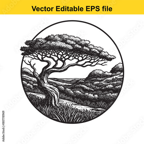 A captivating black and white vector illustration of a solitary tree standing amidst rolling hills, capturing the essence of natures beauty and peaceful solitude