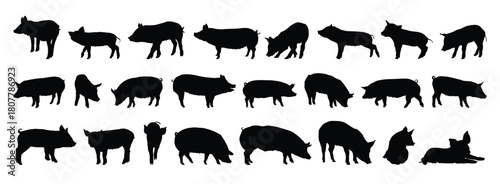 pig and piglet silhouette set. pig and piglet isolated farm animal silhouette icon vector collection