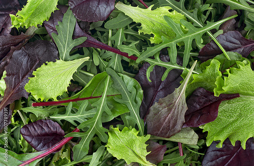 Fresh salad with arugula, purple lettuce, spinach, frisee and chard leaves. Salad mix leaves as background, top view.