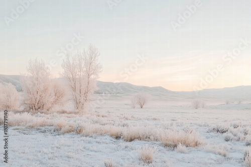 Wallpaper Mural Winter field with pale sun Torontodigital.ca