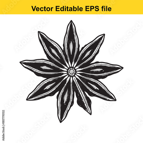 Handdrawn sketch of star anise, isolated on vector illustration of organic spice aromatic ingredient for cooking