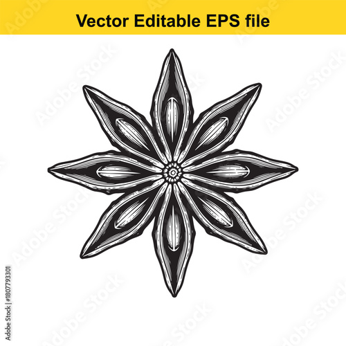 Handdrawn star anise illustration isolated on, showcasing its unique star shape and aromatic qualities in a detailed drawing