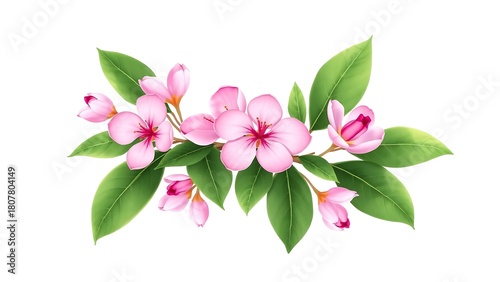 Pink blossoms with green leaves
