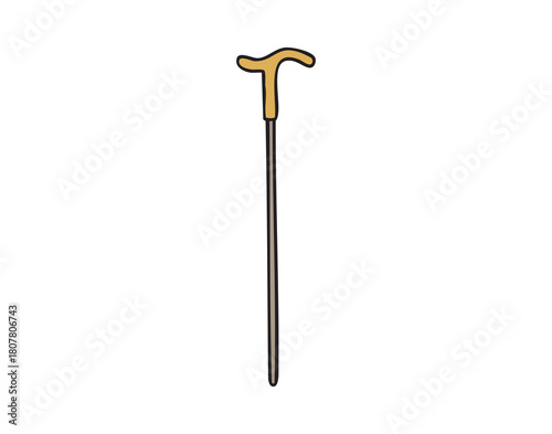 Walking cane classic gentleman accessory