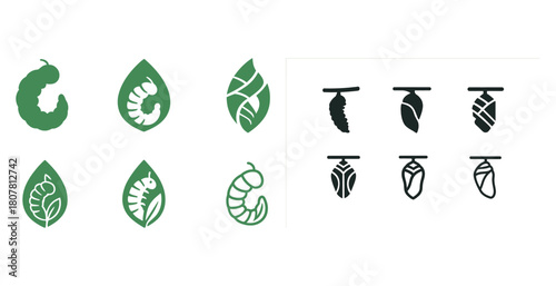 Caterpillar to chrysalis icons: green and black silhouette evolution stages
