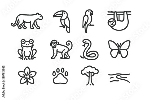 Rainforest Icon Set. Rainforest ecosystem. Line icon set of Rainforest ecosystem: jaguar, toucan, macaw, sloth, tree frog, monkey, snake, butterfly, exotic