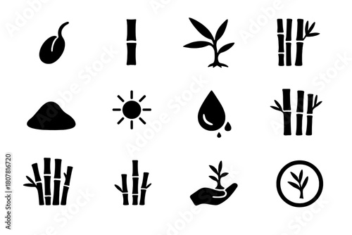 Bamboo Growth Icons. Bamboo plant growth. Solid icon set of Bamboo plant growth: seed sprout, bamboo stem, leaf cluster, root system, soil mound, sunlight