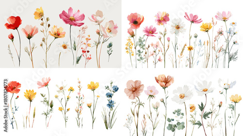 A delicate watercolor collection of wildflowers in soft pastel colors, featuring hand painted blossoms and stems perfect for invitations, botanical art, and elegant floral designs.