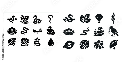 Snake and nature icon set with eggs, leaves, birds, and flowers