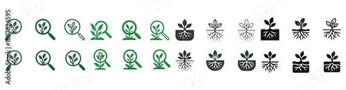 Plant growth and root development icons in green and black