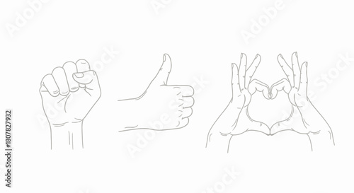 Vector collection of hand signs for strength, approval, and love. Line drawing of a clenched fist, thumbs up, and heart gesture