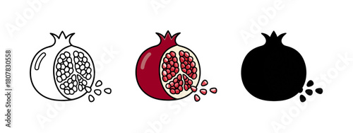 Pomegranate Graphic Icons Presenting Color, Outline, and Silhouette Fruit Representations