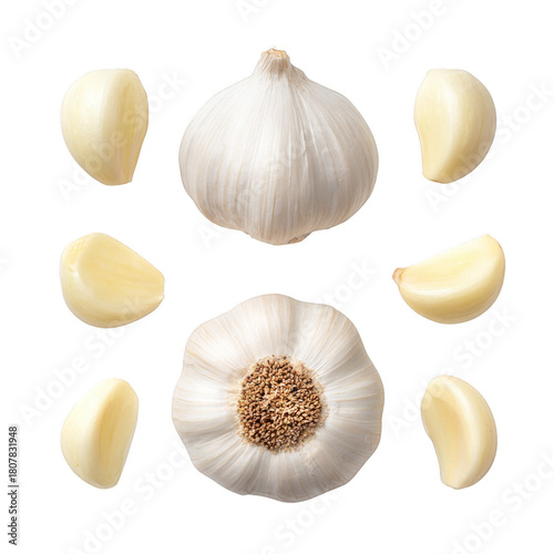 Whole garlic bulb and peeled cloves arranged neatly, isolated on transparent background, studio light setup, high detail