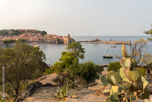 Photography Port de Collioure