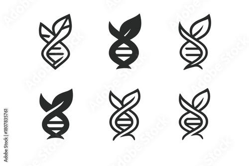 Healthy Aging Icons. Healthy aging. Icon set. Set Logo of healthy aging: heart and leaf. harmonious logo variations of the same emblematic concept, each with