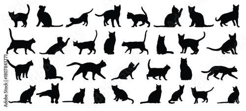 cat silhouette set. cat or kitty isolated farm animal silhouette icon vector collection