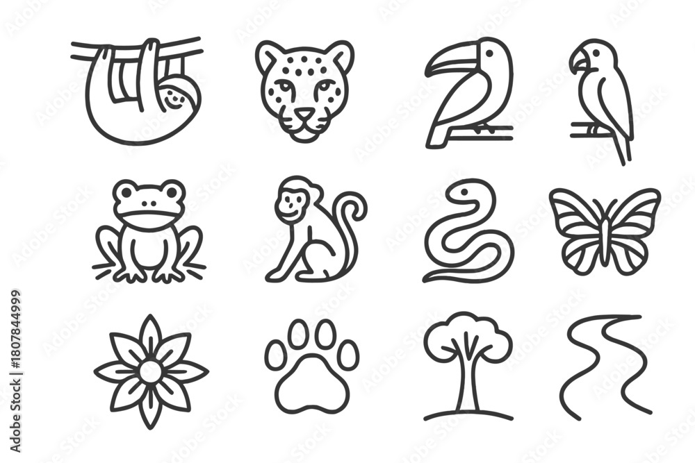 Fototapeta premium Tropical Animal Icons. Tropical animals. Line icon set of Tropical animals: sloth, jaguar, toucan, macaw, tree frog, monkey, snake, butterfly, exotic flower,