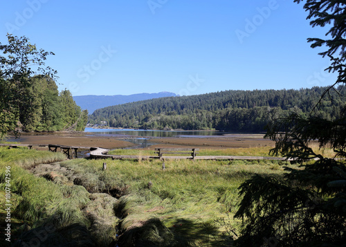 Grassy ocean bay at low tide