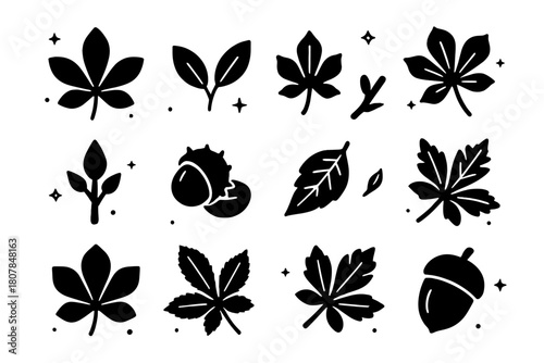 Chestnut Icon Grid. Chestnut Leaves and Branches. Solid icons set of Chestnut Leaves and Branches: chestnut leaf, leaf pair, midrib line, twig, bud, seed pod,