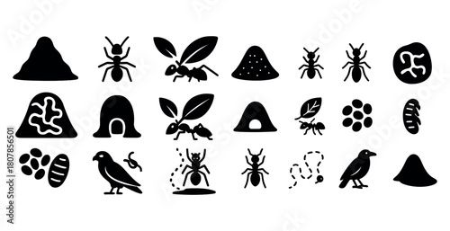 Ants and nature silhouettes: anthill, ants, birds, leaves, trails, eggs