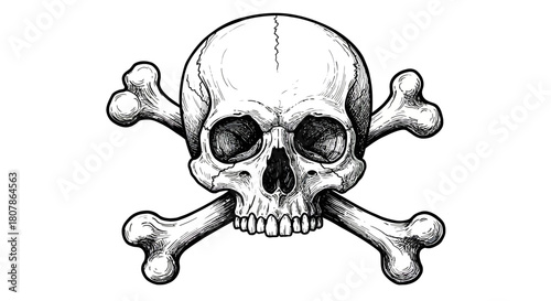Skull and Crossbones Illustration – Vector Design for Halloween Symbol