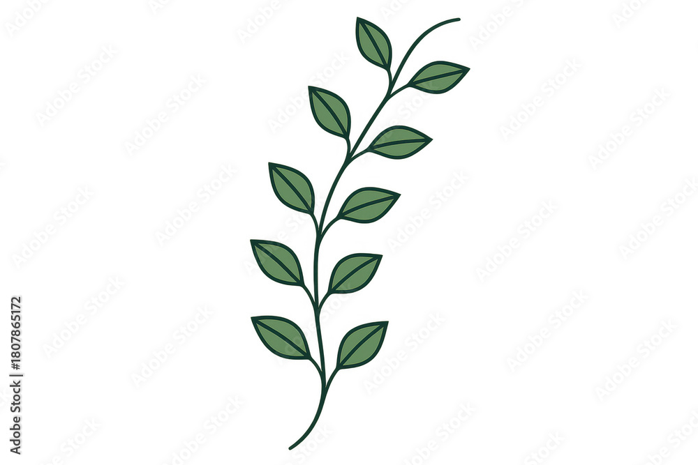 Obraz premium Green leaf branch illustration depicting botanical nature element, minimalist design, transparent background for easy use