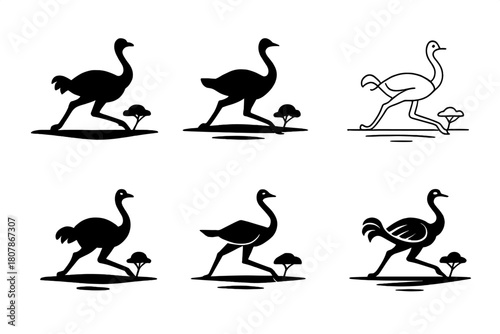 Ostrich Logo Set. Ostriches. Icon set. Set Logo of ostriches: ostrich running across savannah horizon. harmonious logo variations of the same emblematic