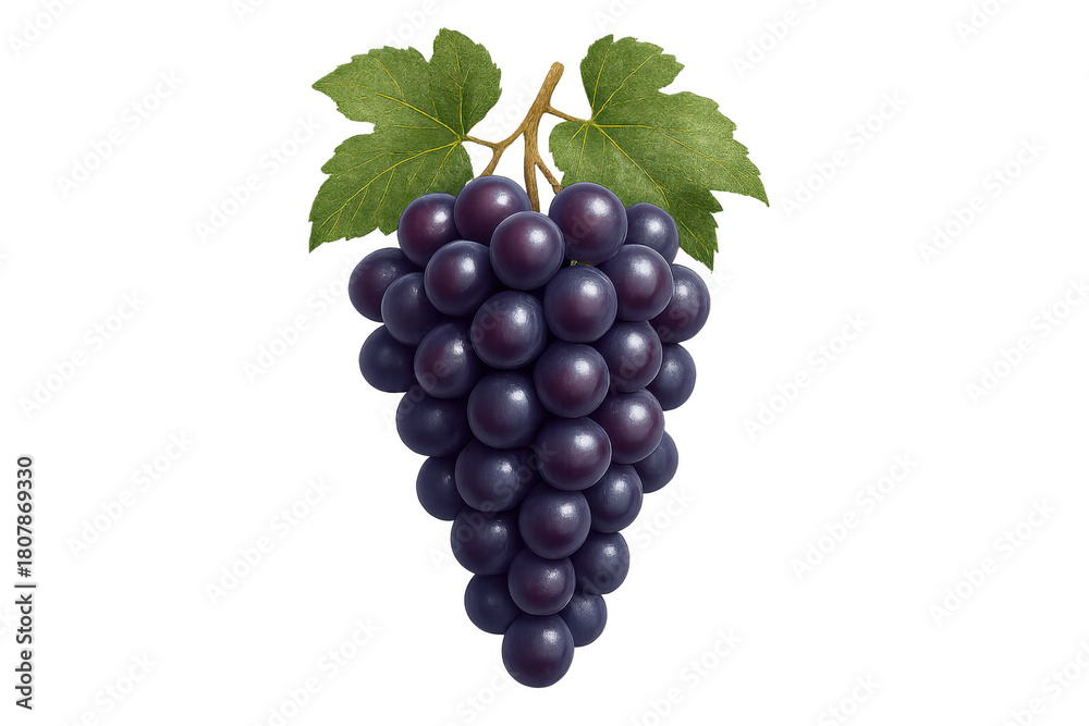 Fototapeta premium Bunch of ripe black grapes with green leaves ready for harvest, featuring fresh organic fruit and healthy eating on transparent background