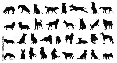 dog and puppy silhouette set. dog and puppy different breed. greyhound, pug, shepherd, French bulldog and others isolated farm animal silhouette icon vector collection