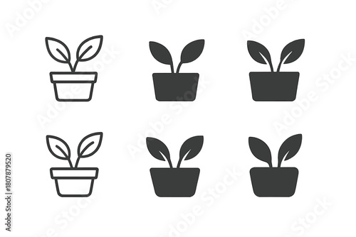 Potted Plant Logos. Small potted plants for desk decoration. Icon set. Set Logo of small potted plants for desk decoration: bonsai tree on a small tray.
