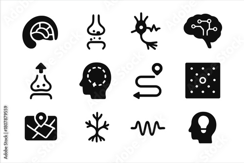 Spatial Memory Icons. Neural mechanisms of spatial memory. Solid icon set of Neural mechanisms of spatial memory: hippocampal map, synapse connection, neuron