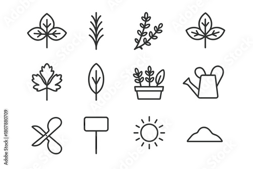 Herb Garden Icons. Herb Garden. Line icon set of Herb Garden: basil leaf, rosemary branch, thyme sprig, mint leaf, parsley, sage leaf, potted herbs, scissors,