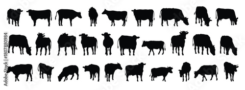 cow and calf silhouette set. cow and calf isolated farm animal silhouette icon vector collection