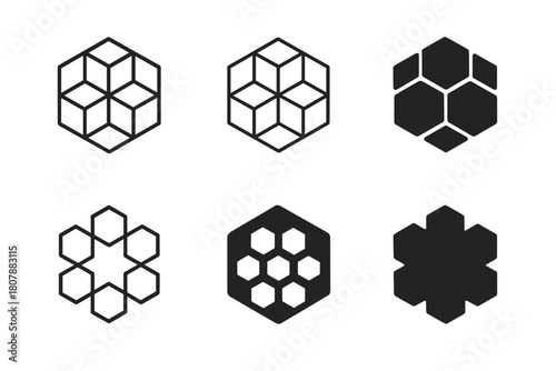 Hexagonal Logo Variations. Geometric patterns. Icon set. Set Logo of Geometric patterns: Hexagonal grid. harmonious logo variations of the same emblematic