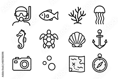 Marine Life Icons. Marine life observation. Line icon set of marine life observation: diver, fish, coral, jellyfish, seahorse, turtle, shell, anchor,