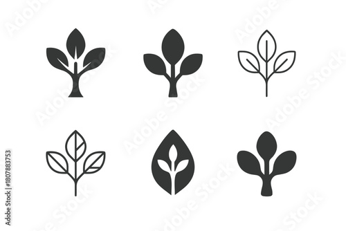 Nature Logo Variations. Nature. Icon set. Set Logo of nature: tree and leaves. harmonious logo variations of the same emblematic concept, each with different