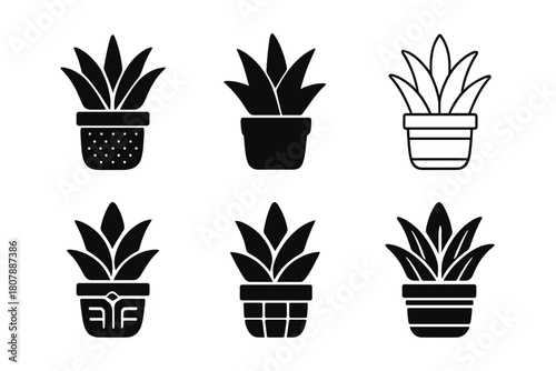 Potted Plant Icon Set. Small potted plants for desk decoration. Icon set. Set Logo of small potted plants for desk decoration: succulent in ceramic pot.